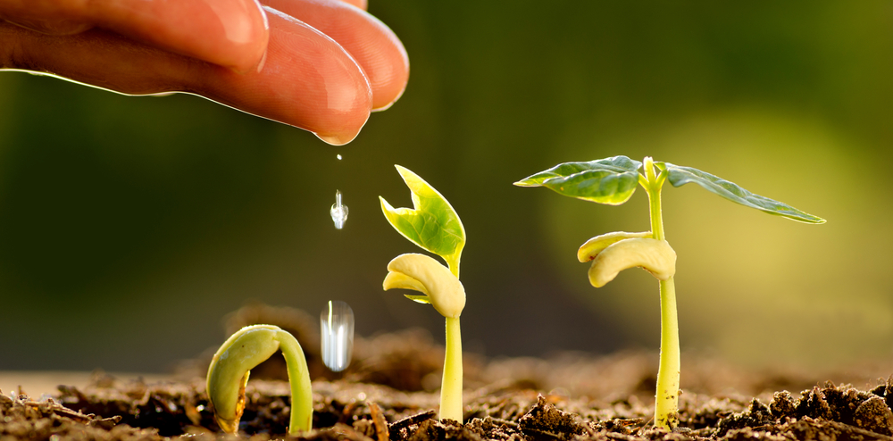 69403080_959778881047244_4531333944892719104_n (1) service-five